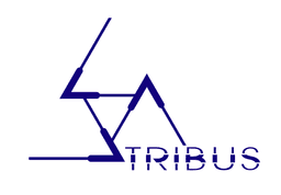 Tribus Limited logo